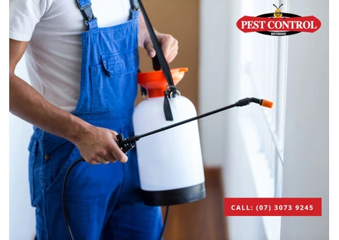 Pest Control Redcliffe – Quality Pest Solutions for Your Property