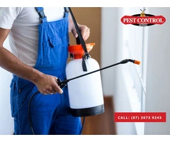 Pest Control Redcliffe – Quality Pest Solutions for Your Property