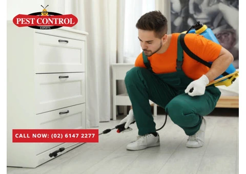Pest Control Queanbeyan – Comprehensive Pest Management You Can Rely On