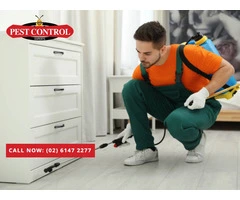 Pest Control Queanbeyan – Comprehensive Pest Management You Can Rely On