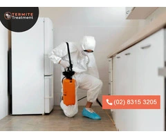 Termite Eradication Sydney – Safe, Professional, and Lasting Solutions