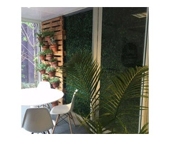 Brisbane’s Best Artificial Plants for a Forever Green Home