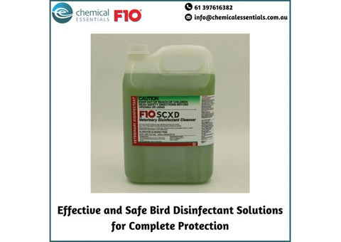 Effective and Safe Bird Disinfectant Solutions for Complete Protection