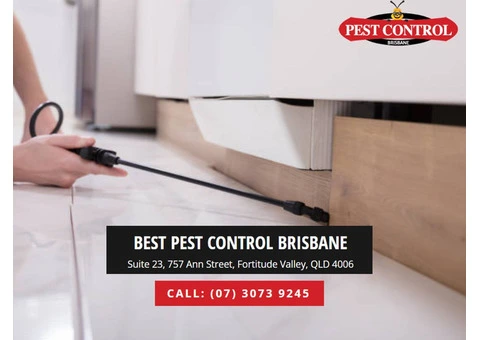 Home Insect Control Brisbane: Effective Pest Management Tips