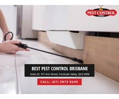Home Insect Control Brisbane: Effective Pest Management Tips