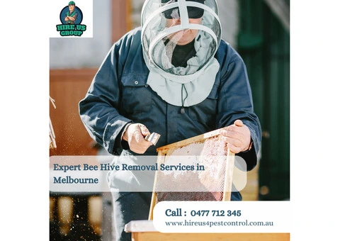 Expert Bee Hive Removal Services in Melbourne