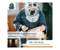 Expert Bee Hive Removal Services in Melbourne