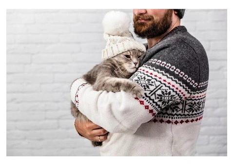 Mobile Vet in Perth: Vet Care at Your Doorstep