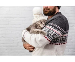 Mobile Vet in Perth: Vet Care at Your Doorstep