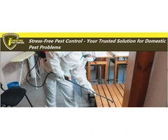 Your Reliable Pest Control Partner in Melbourne