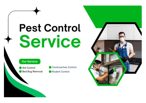 Eco-Friendly Pest Control Rockingham – Protecting Homes Naturally