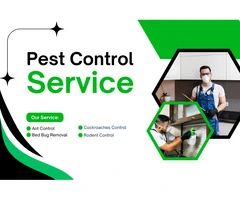 Eco-Friendly Pest Control Rockingham – Protecting Homes Naturally