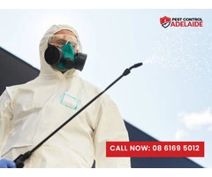 Say Goodbye to Pests: Professional Pest Control in Darlington
