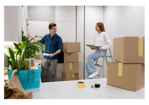 Your Go-To Office Relocation Specialists for Stress-Free Moves