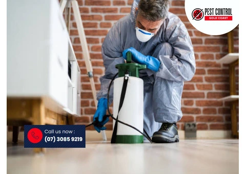 Pest Control Upper Coomera: Fast and Effective Pest Control Services
