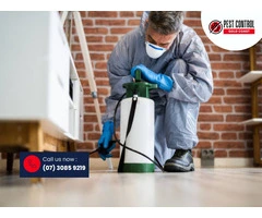 Pest Control Upper Coomera: Fast and Effective Pest Control Services