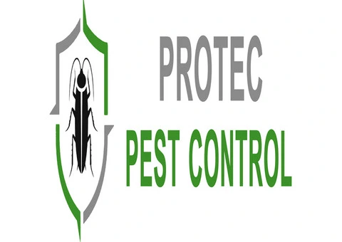 Eco-Friendly Pest Control in Adelaide