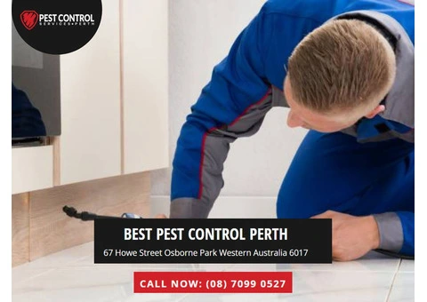 Pest Control Malaga: Trusted Experts for Comprehensive Pest Services