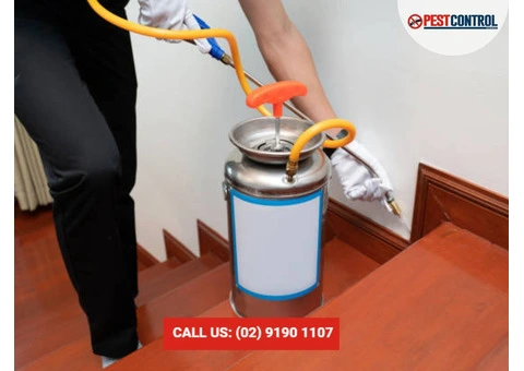 Spider Extermination Sydney: Fast, Effective Treatment for Spider Problems