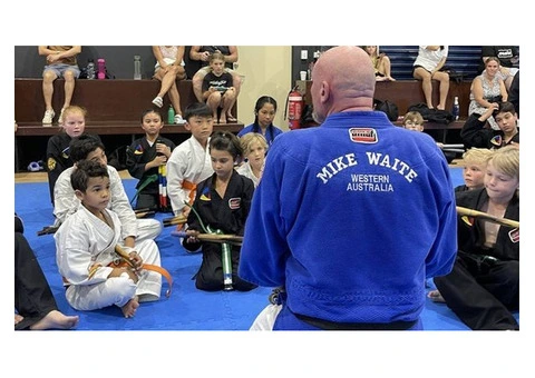 Learn How Martial Arts Classes Build Confidence with AMAF Australia