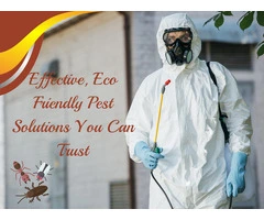 Your Local Solution for Lasting Pest Control in Point Cook