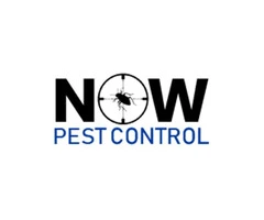 Now Pest Control