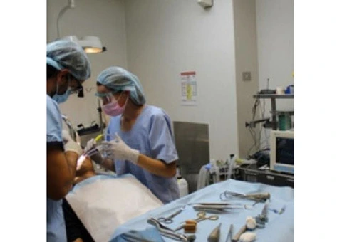 Dental Implants Cost in Melbourne – Expert Care at Just $1500 - 3/4
