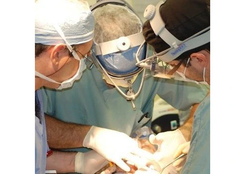 Dental Implants Cost in Melbourne – Expert Care at Just $1500 - 4/4