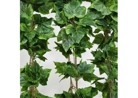 Green Up Your Outdoors with Beautiful Hanging Plants