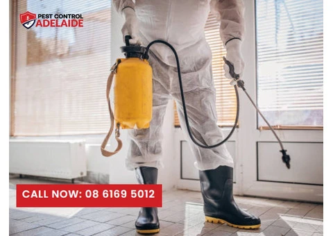 Expert Pest Removal & Management Solutions in Adelaide