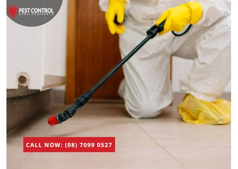Expert Pest Management Solutions for Homes & Businesses in Perth