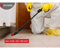 Expert Pest Management Solutions for Homes & Businesses in Perth