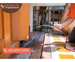 Reliable Termite Treatment Solutions in Sydney