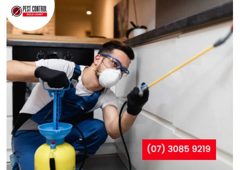 Expert Pest Control for Helensvale