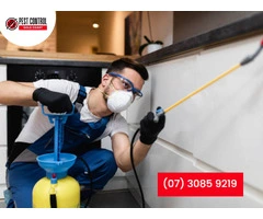 Expert Pest Control for Helensvale