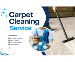 Fresh, Clean Carpets – Carpet Cleaning Randwick