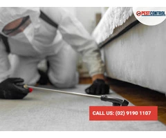 Reliable Commercial Pest Control Solutions Across Sydney