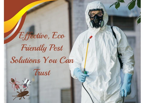 Bayswater’s Trusted Partner for a Pest-Free Space