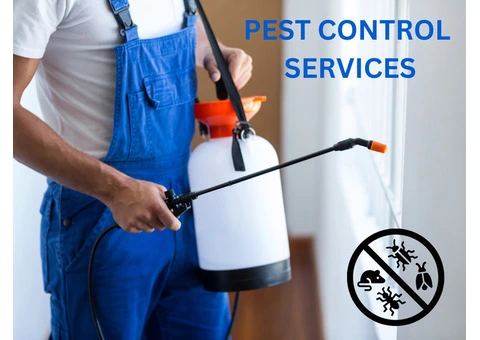 Sunbury’s Solution for a Pest-Free Home