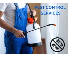 Sunbury’s Solution for a Pest-Free Home