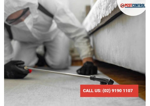 Secure Your Property with Termite Protection!