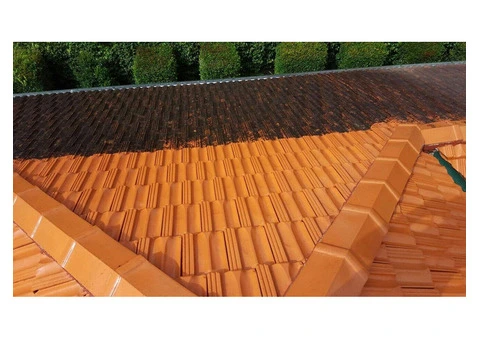 Roof Cleaning Sydney - 1/3