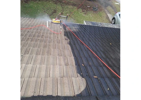 Roof Cleaning Sydney - 3/3