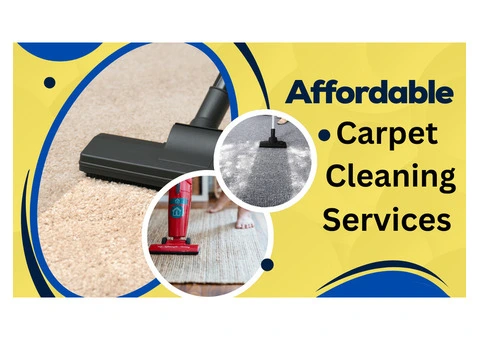 Professional Carpet Cleaning in New Farm Quality You Can Trust