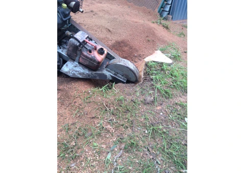 Stump Removal Sydney
