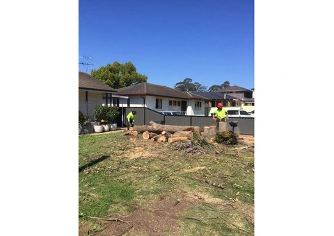 Stump Removal Sydney - 2/2