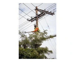 Emergency Tree Services Castle Hill