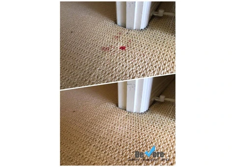 Expert Carpet Stain Removal in Sunshine Coast - De Vere Carpet and Leather Restorations