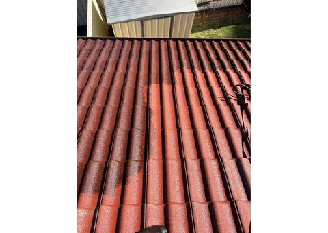 Roof Painting Sydey - 2/10