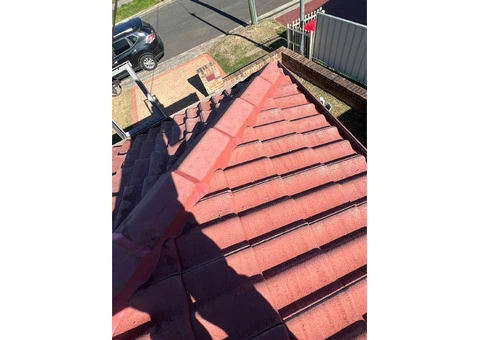 Roof Painting Sydey - 6/10